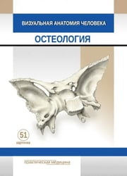 Визуальная анатомия человека. Остеология. Карточки, 51 штука