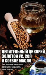 Целительный цикорий, золотой ус, соя и соевое масло для лечения, очищения организма и красоты лица и тела