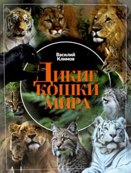 Дикие кошки мира