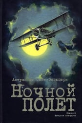 Ночной полет