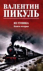 Из тупика. Кн.2: роман