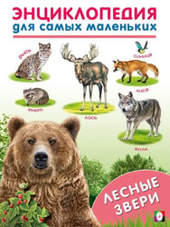 ЭСМ. Лесные звери