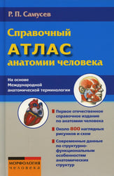 Справочный атлас анатомии человека На основе Международной анатомической терминологии