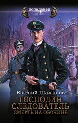 Господин следователь. Смерть на обочине