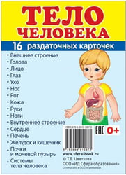 Дем. картинки СУПЕР Тело человека. 16 раздаточных карточек с текстом на обороте учебно-методическое пособие с комплектом демонстрационного материала 63х87 мм, познавательное и речевое развитие