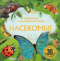 Насекомые