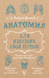 Анатомия для ищущих свой пупок