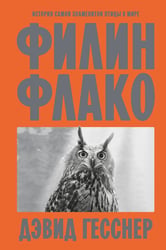 Филин Флако: История самой знаменитой птицы в мире