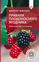 Правила плодоносного ягодника. Эффективный уход за кустарниками