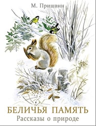 Беличья память: рассказы о природе