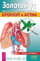 Золотой ус против болезней дыхания. Бронхит и астма