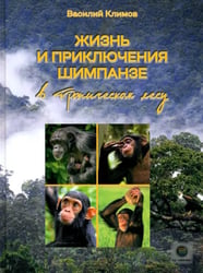 Жизнь и приключения шимпанзе в тропическом лесу