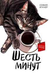 Шесть минут