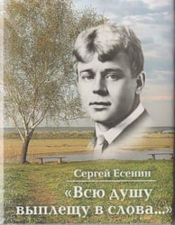 Всю душу выплещу в слова Серия «Миниатюрные издания».