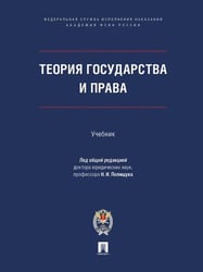 Теория государства и права. Уч.-М.:ПроспектАкадемия ФСИН России,2026. 248447