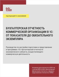 Бухгалтерская отчетность коммерческой организации в 1С: от показателя до обязательного экземпляра. Практическое пособие