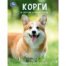 Корги и другие породы собак. Энциклопедия с развивающими заданиями. 197х255мм. 48стр. Умка в кор15шт
