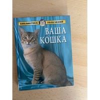 Ваша кошка