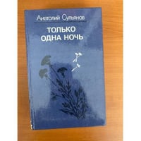 Только одна ночь