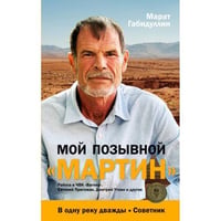 Мой позывной «МАРТИН». В одну реку дважды. Советник