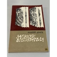 Записки воспитателя