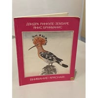 Внимание! Красная!..