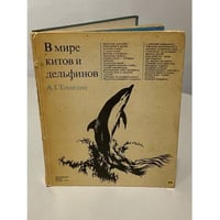 В мире китов и дельфинов