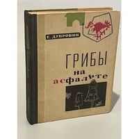 Грибы на асфальте