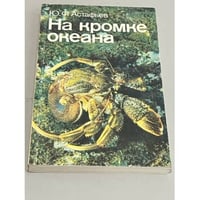 На кромке океана
