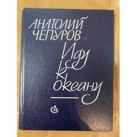Иду к океану