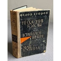 Не склонив головы. Встретимся в Берлине. Эвако госпиталь.