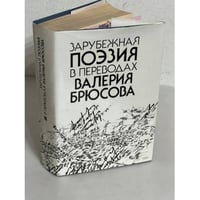  Зарубежная поэзия в переводах Валерия Брюсова