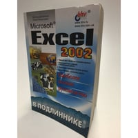 Microsoft Excel 2002