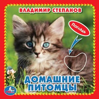 Домашние питомцы. М.Дружинина (Книжка-картонка с такт) 3 разворота 4 такт. эл-та в кор.144шт