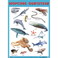 Развивающие плакаты. Морские обитатели