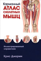 Карманный атлас скелетных мышц. Иллюстрированный справочник