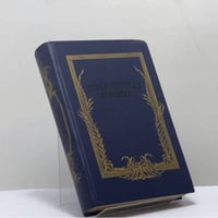 Петербургская ворожея