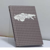 Внеклассное чтение
