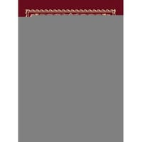 Книга успешного руководителя