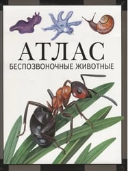Беспозвоночные животные: атлас (2-е, стереотипное)
