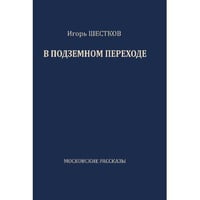 В подземном переходе. Московские рассказы