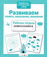 Развиваем память, мышление, внимание. Рабочая тетрадь дошкольника