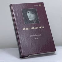 Стихотворения. Эссе