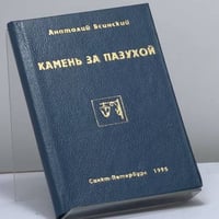 Камень за пазухой