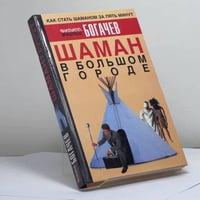 Шаман в большом городе, или Книга о приготовлении быстрорастворимой магии