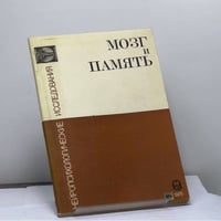 Мозг и память