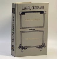 Катастрофа. Свидетель