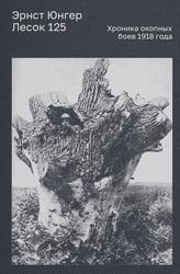 Лесок 125. Хроника окопных боев 1918