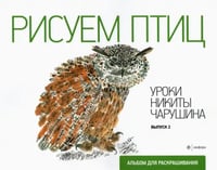Рисуем птиц. Выпуск 2