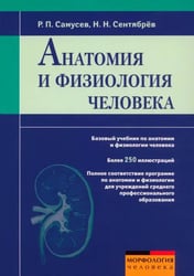Анатомия и